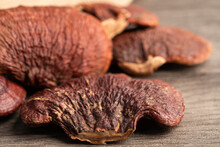 Reishi