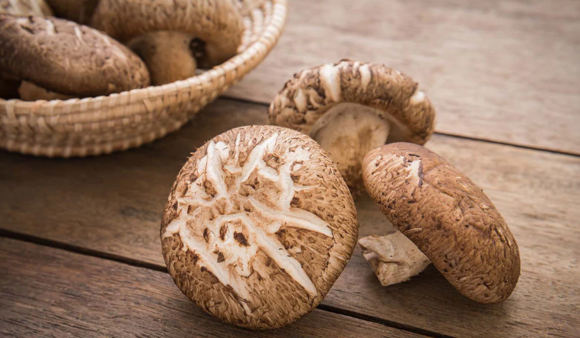 Shiitake